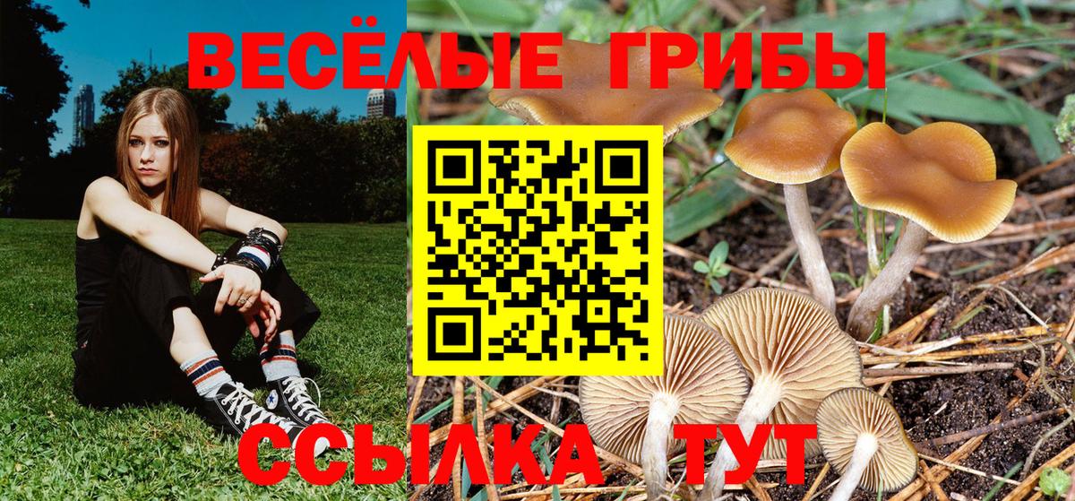 Димитровград  Галлюциногенные грибы ЛСД  Псилоцибиновые грибы GOLDEN TEACHER  Вход с VPN 