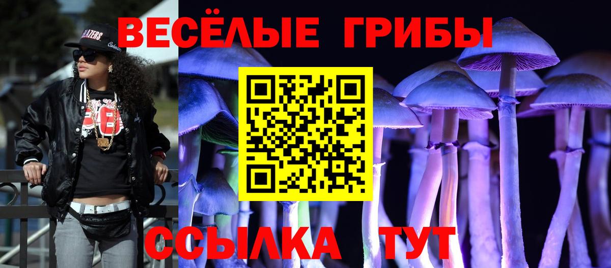 Галлюциногенные грибы Psilocybine cubensis Димитровград