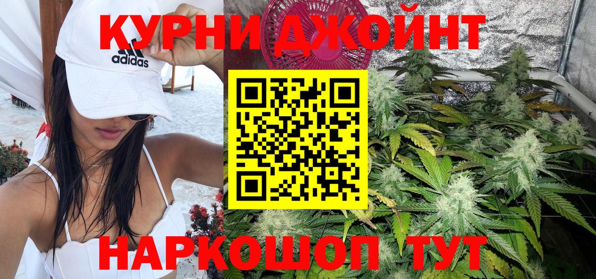Шишки марихуана Bruce Banner  Марихуана план  Димитровград  Шишки марихуана SATIVA & INDICA  Вход с VPN 